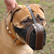 Protective  Training Dog Muzzle