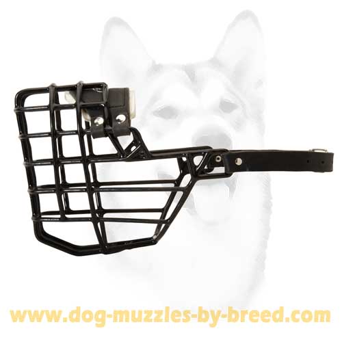 Rubber Covered Metal Winter Muzzle
