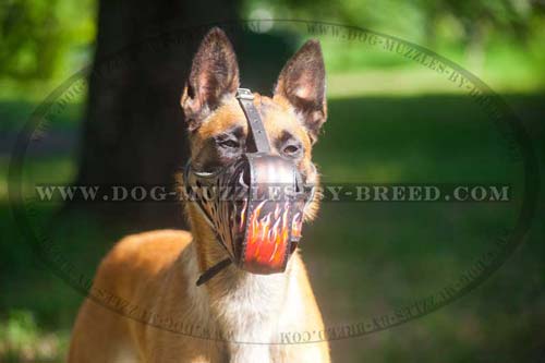 Everyday light-weighted leather muzzle