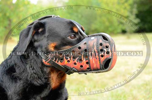 Exclusively designed super strong muzzle 