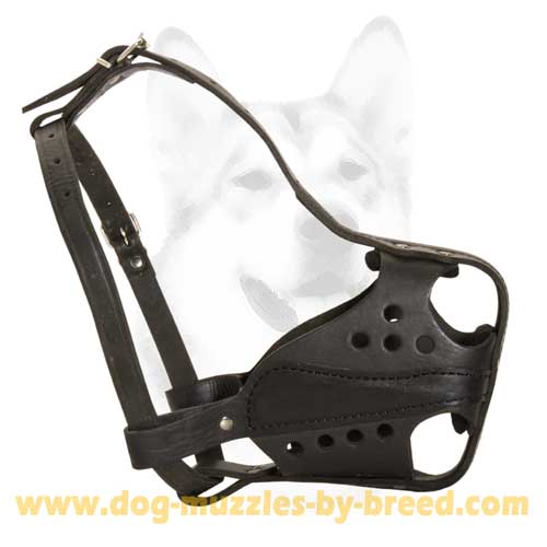 Well-ventilated leather muzzle