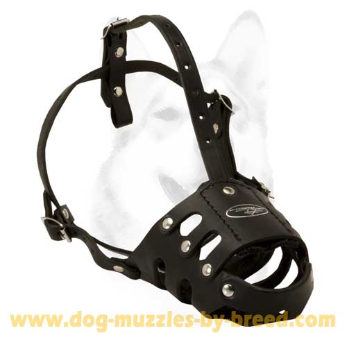 Great Muzzle for obedience training