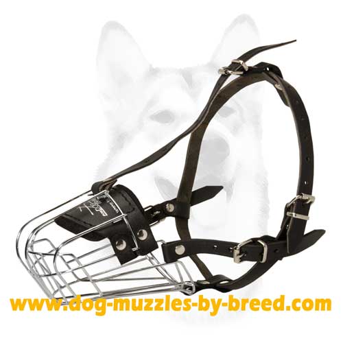 Comfortable muzzle with padded nose area