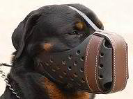 Sturdy Training  Dog Muzzle with Protective Plate