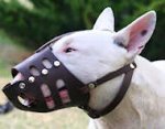 Bull Terrier leather dog muzzle - handmade custom leather muzzle