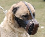 Agitation Muzzle,Police Leather Dog Muzzle For Anatolian Shepherd