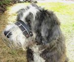 Bearded Collie Wire Muzzle-Cage Basket Dog Muzzle