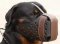Agitation Muzzle,Police Leather Dog Muzzle For Rottweiler