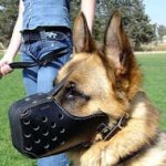 German Shepherd training Leather Dog Muzzles