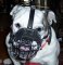 British Bulldog Wire Muzzle-Cage Basket Dog Muzzle