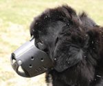 Leather Safety Dog Muzzle,No Bite,No Bark for Newfoundland