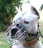 Staffordshire Terrier Wire Muzzle-Cage Basket Dog Muzzle