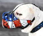 Glamorous handpainted muzzle for your pet