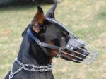 Doberman Wire Muzzle-Cage Basket Dog Muzzle