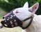 Bull Terrier leather dog muzzle - handmade custom leather muzzle