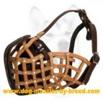 Fantastic Training Basket-like Muzzle