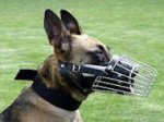 Full Padded Basket BEST wire dog muzzle perfect for Malinois-
