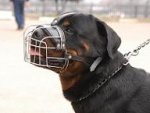 Rottweiler Wire Muzzle-Cage Basket Dog Muzzle
