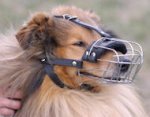 Collie Wire Muzzle-Cage Basket Dog Muzzle