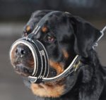 Leather Royal Nappa Dog Muzzle for Rottweiler