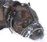 Comfortable Nappa Leather Dog Muzzle