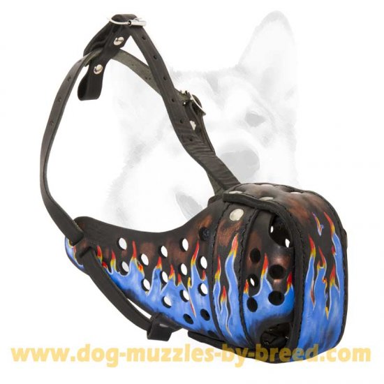 Painted dog on sale muzzle