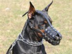 Basket Leather Dog Muzzle,No Bark Muzzle for Doberman