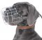 Great Dane Wire Muzzle-Cage Basket Dog Muzzle