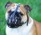 Basket Leather Dog Muzzle,No Bark Muzzle for British Bulldog