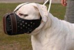 Agitation Muzzle,Police Leather Dog Muzzle For American Bulldog
