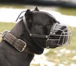 Cane Corso Wire Muzzle-Cage Basket Dog Muzzle