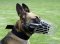 Full Padded Basket BEST wire dog muzzle perfect for Malinois-