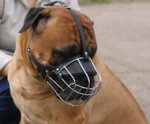 Bullmastiff Wire Muzzle-Cage Basket Dog Muzzle