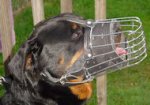 Rottweiler FULL PADDED WIRE BASKET CAGE DOG MUZZLE