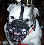 British Bulldog Wire Muzzle-Cage Basket Dog Muzzle