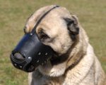 Leather Safety Dog Muzzle,No Bite,No Bark for Anatolian Shepherd