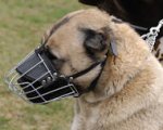 Anatolian Shepherd Dog Wire Muzzle-Cage Basket Dog Muzzle