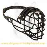Medium Dog Wire Basket Muzzle with rubber covering