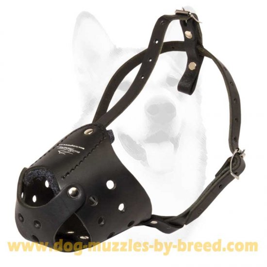 Super Comfortable Leather Dog Muzzle
