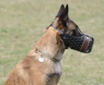 Agitation Muzzle,Police Leather Dog Muzzle