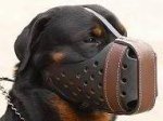 Agitation Muzzle,Police Leather Dog Muzzle For Rottweiler
