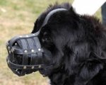 Basket Leather Dog Muzzle,No Bark Muzzle for Newfoundland