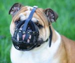 Basket Leather Dog Muzzle,No Bark Muzzle for British Bulldog