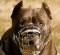 PitBull Wire Muzzle-Cage Basket Dog Muzzle
