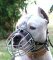 Staffordshire Terrier Wire Muzzle-Cage Basket Dog Muzzle