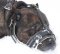 Comfortable Nappa Leather Dog Muzzle