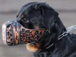 Hand painted by our artists leather Muzzle ART Rottweiller muzzl
