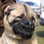 Basket Leather Dog Muzzle,No Bark Muzzle for Anatolian Shepherd