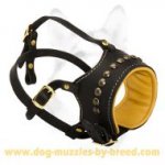 Elegant Leather Muzzle for Safe walking with your Dog