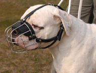 American Bulldog Wire Muzzle-Cage Basket Dog Muzzle